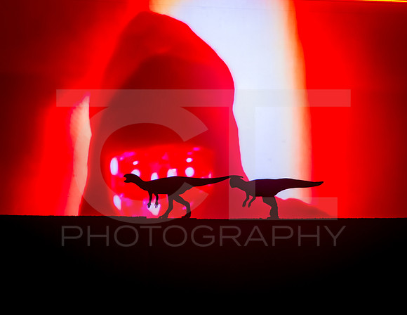 _MTS3019