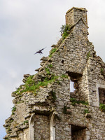 Kilduff Castle