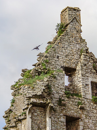 Kilduff Castle 0006