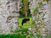 Kilduff Castle 0007
