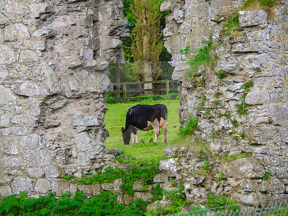Kilduff Castle 0007