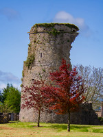 an tSiur - River Suir 0003