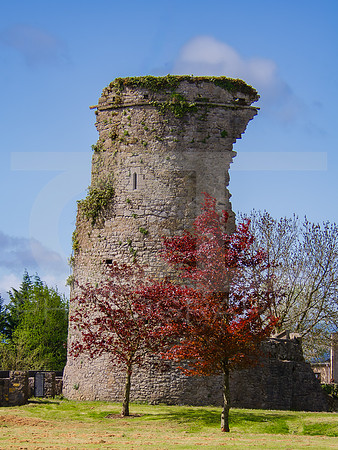 an tSiur - River Suir 0003