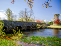 an tSiur - River Suir