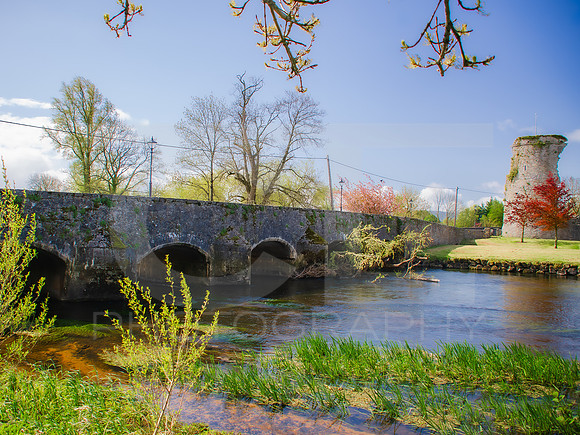 an tSiur - River Suir 0001