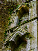 Carraig Phadraig, Caiseal - The Rock of Cashel - St. Patricks Rock 0008