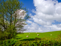 Gap On Dunlow