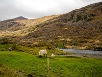 Gap On Dunloow 0009