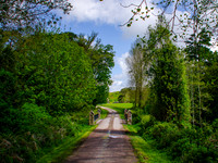 Muckross Abby