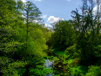 Muckross Abby 0002