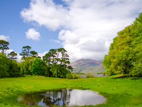 Muckross Abby 0009