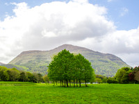 Muckross Abby 00011