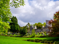 Muckross Abby 00012