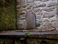 Muckross Abby 00015
