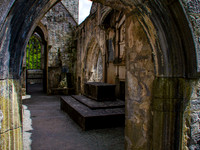 Muckross Abby 00017