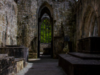 Muckross Abby 00018