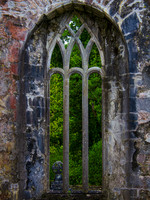 Muckross Abby 00019
