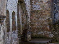 Muckross Abby 00020
