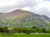 Killarny Castle 0004