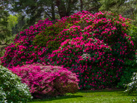 Killarny Castle 00010