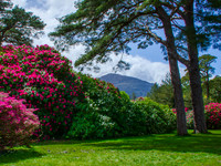 Killarny Castle 00011