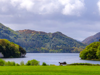 Killarny Castle 00016