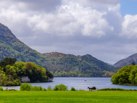 Killarny Castle 00017