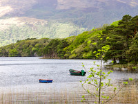Killarny Castle 00021