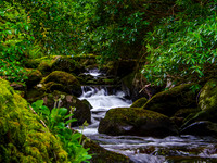Killarny National