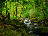 Killarny National Park 0004