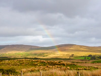 Kerry Way