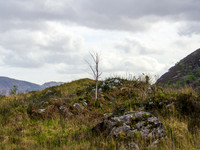 Kerry Way 0005