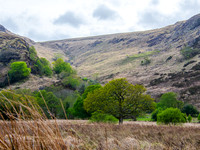 Kerry Way 00014