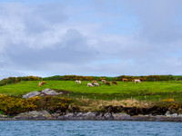 Port McGee 0007