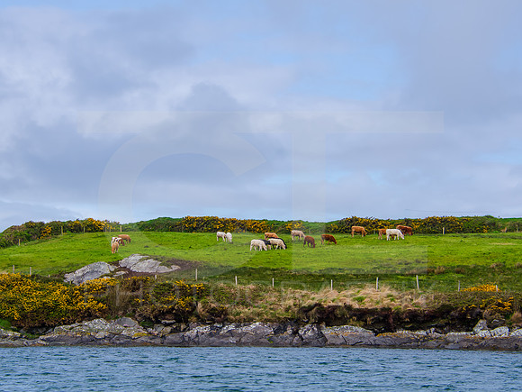 Port McGee 0007