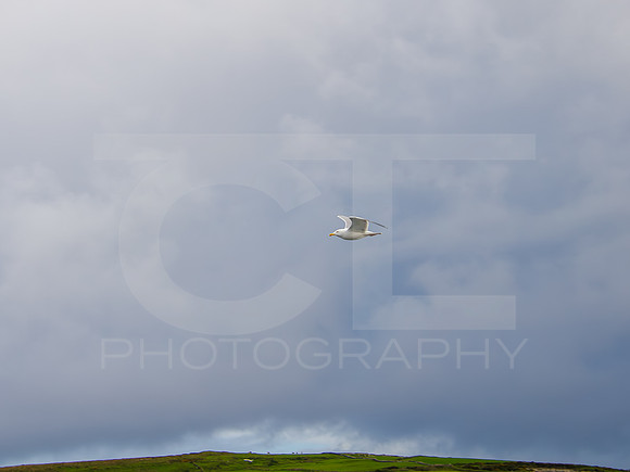 Port McGee 00012