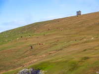 Port McGee 0008