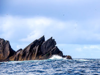 Skellig Islands - Great Skellig Michael 0003