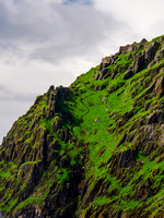 Skellig Islands - Great Skellig Michael 0002