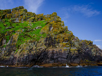 Skellig Islands - Great Skellig Michael 0008