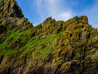 Skellig Islands - Great Skellig Michael 0006