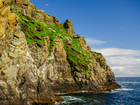 Skellig Islands - Great Skellig Michael 0009