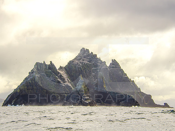 Skellig Islands - Little Skellig 0001