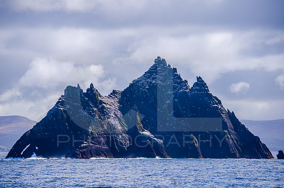 Skellig Islands - Little Skellig 0005