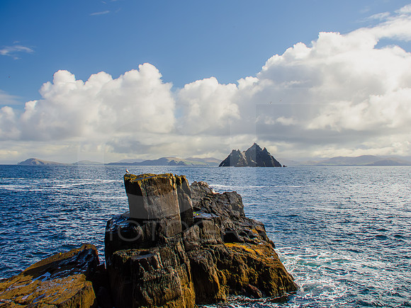 Skellig Islands - Little Skellig 0004