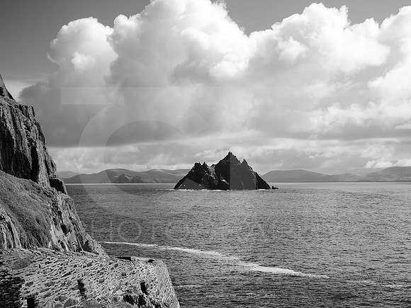 Skellig Islands - Little Skellig 0008