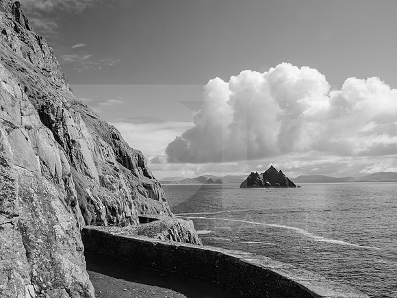 Skellig Islands - Little Skellig 00010