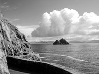 Skellig Islands - Little Skellig 00012
