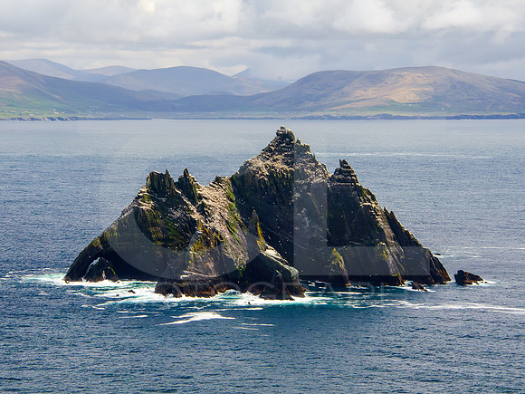 Skellig Islands - Little Skellig 00013
