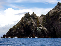 Skellig Islands - Little Skellig 00014